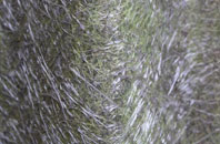 Maidenpark fibreglass roof work